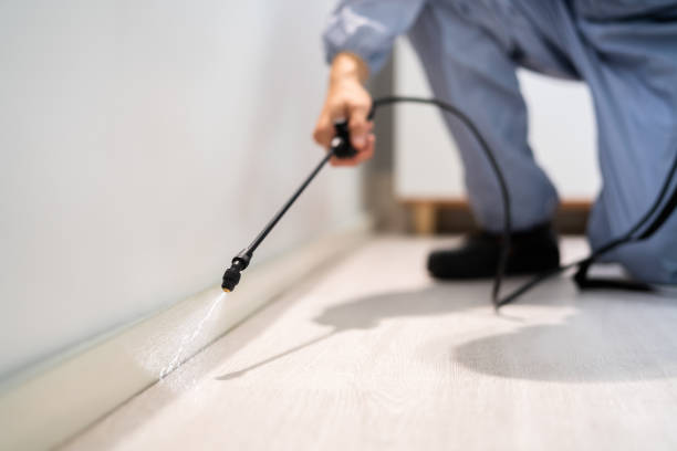 Licensed Pest Control service in Livingston, MT - Show Me Pest Control